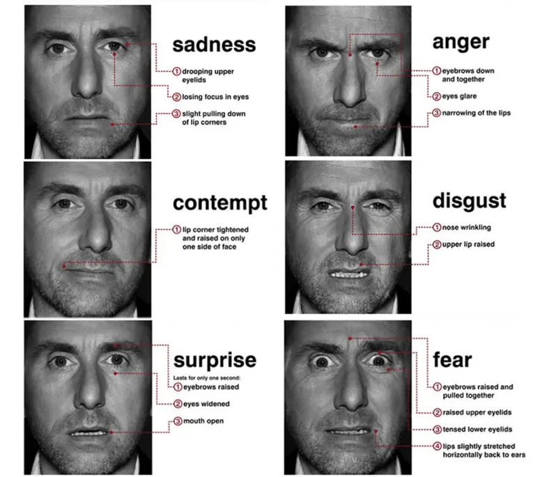 6 universal emotions expressed by the actor Tim Roth, from the TV series, Lie to Me.